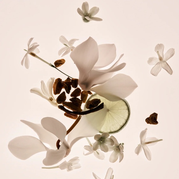 Phlur Missing Person Eau de Parfum - 50ML 1.7 FL OZ NEW $99 Sephora - Picture 4 of 5